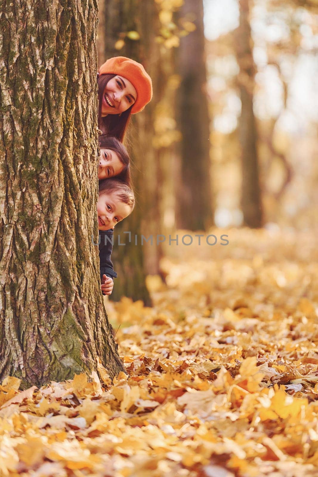 Hiding behind tree. Mother with her little son and daughter is having fun in the autumn park.