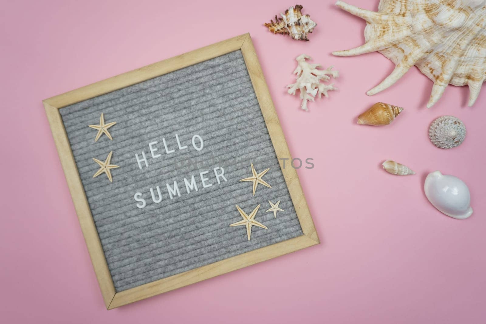 A board with the word Hello, summer written on it. On a pink background are a variety of shells.