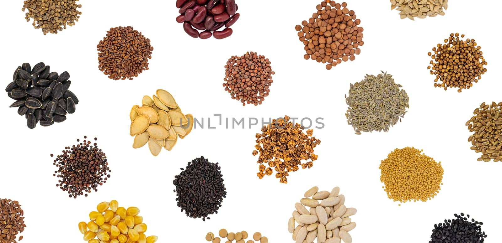 Different seeds isolate on white background. Selective focus. Nature.