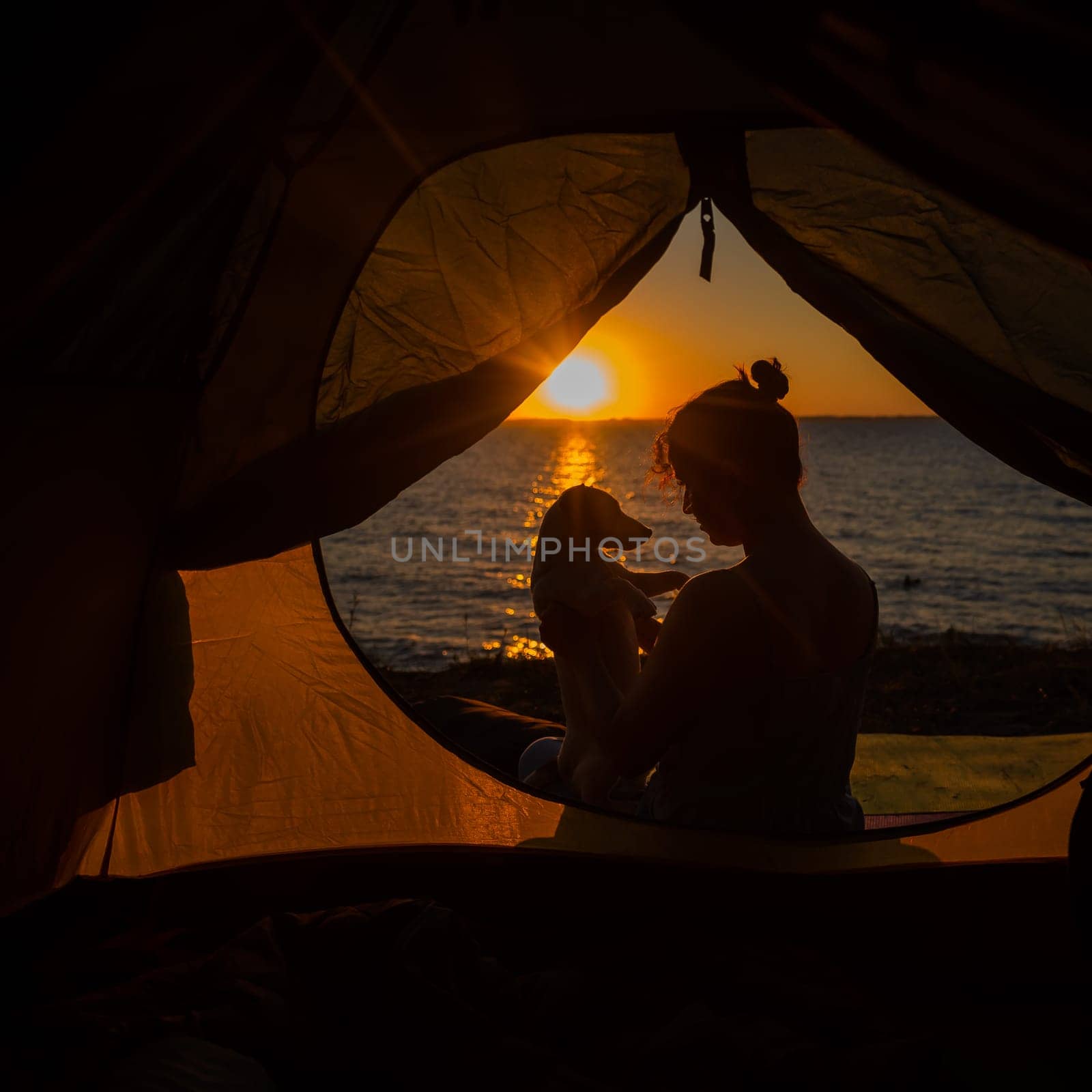 A woman and a dog in a tourist tent at sunrise. Camping with a pet by mrwed54