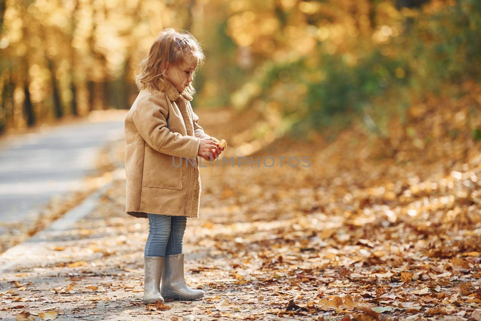 Little girl enjoying walk in the autumn park.