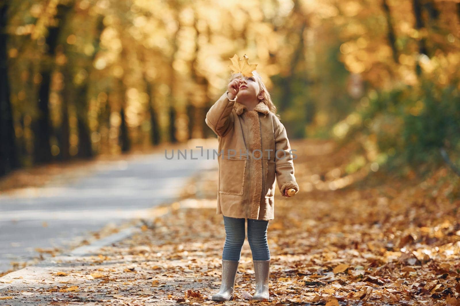 Little girl enjoying walk in the autumn park.
