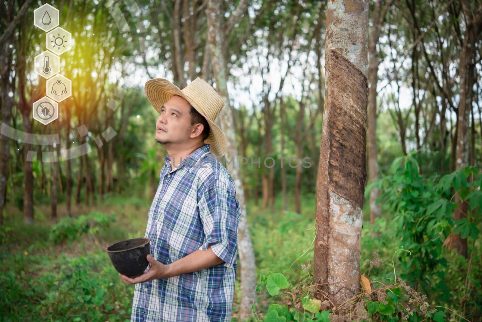 Smart Farm, Agriculturist rubber tree plantation by PongMoji