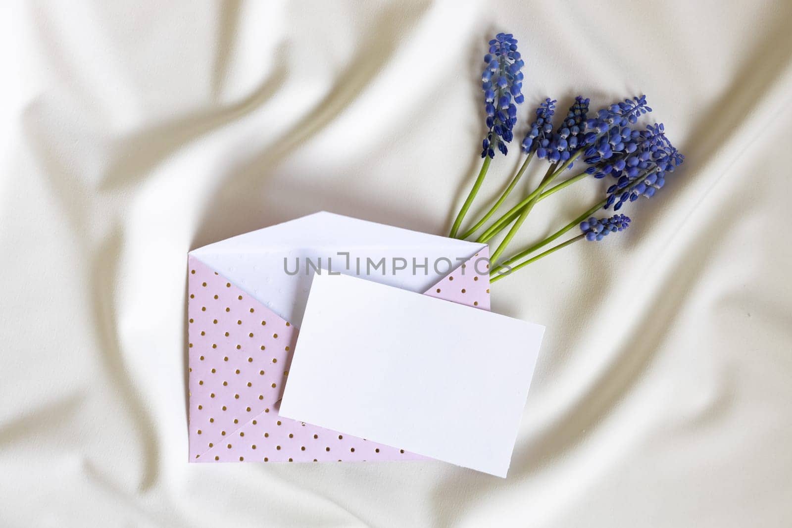 Pink envelope with blank card and muscari flower on white background. Top view. by Ri6ka