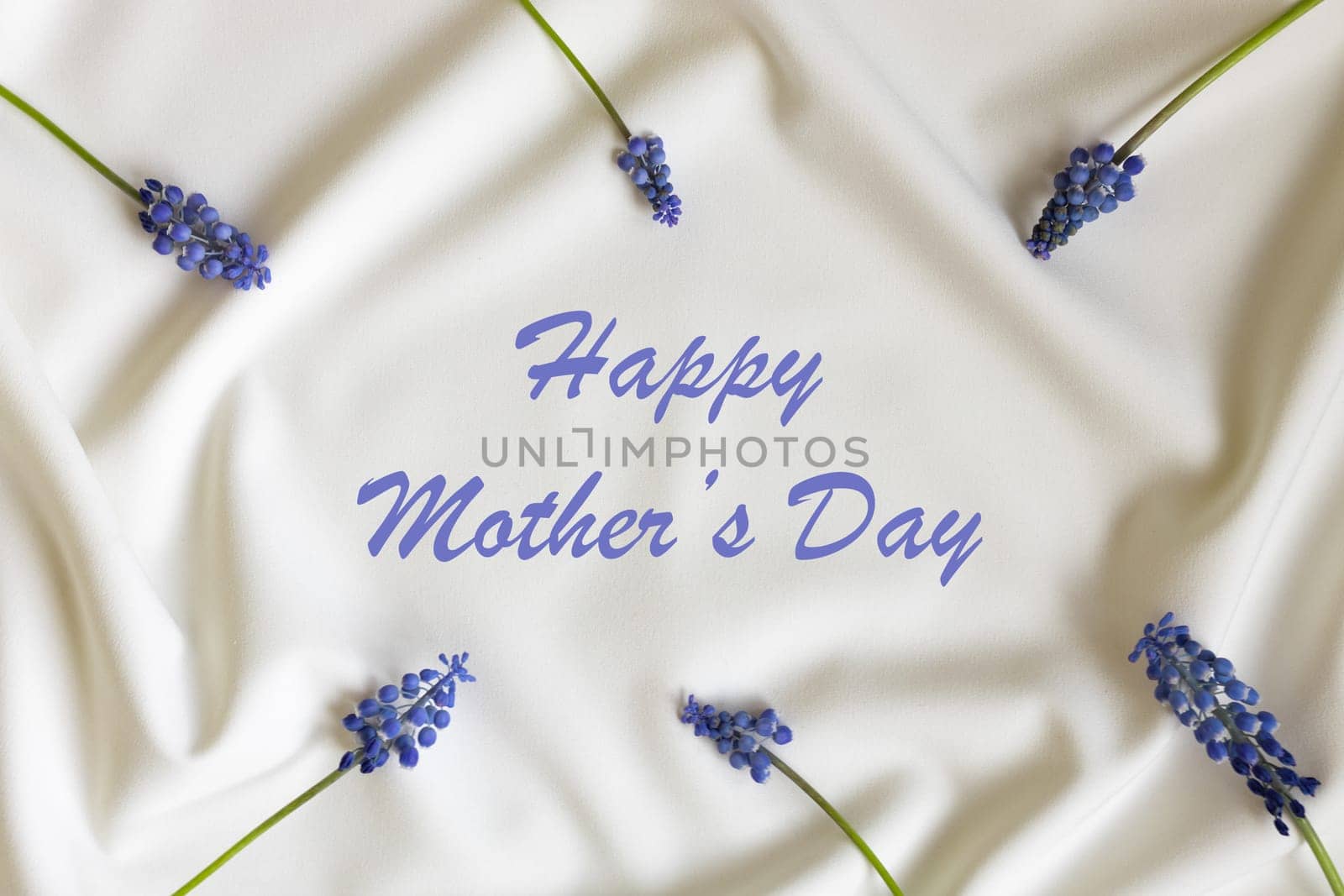 Beautiful flowers pattern on white background. Minimalistic floral concept. Creative still life spring, summer background. Text Mothers day by Ri6ka