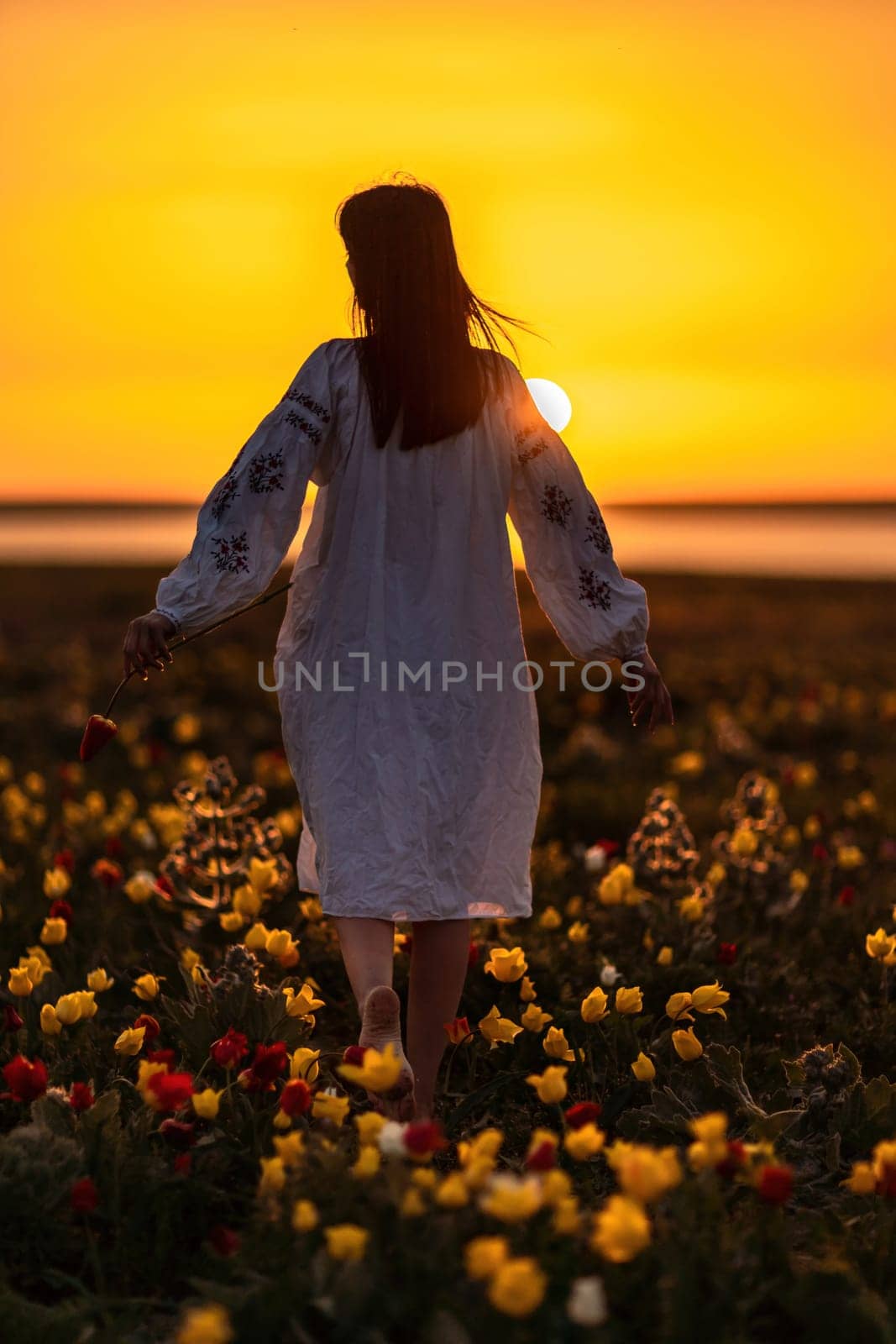 Woman back against sunset and wild tulip flowers, natural seasonal background. Multi-colored tulips Tulipa schrenkii in their natural habitat are listed in the Red Book