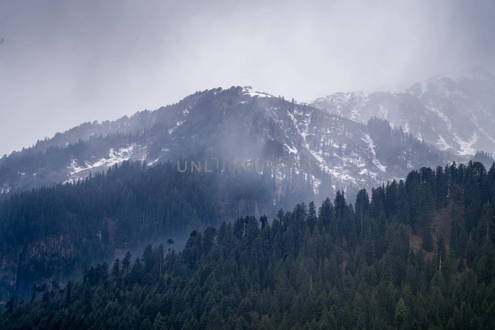 fog mist rolling over tree covered mountains in the foreground and snow capped peak in the background in manali himachal pradesh by Shalinimathur