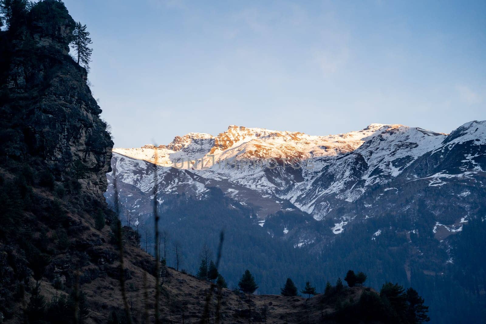 Sunlight lit peaks covered with snow in the distance with tree covered mountains in the foreground in manali by Shalinimathur