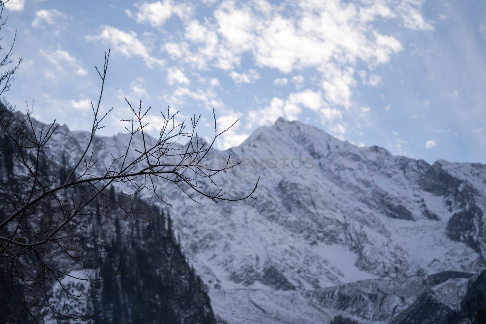 snow covered mountains with dead tree branches in the foreground topped with cottony clouds in spiti, lahul, leh ladakh in India