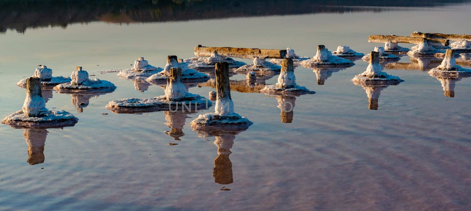 Salt crystals on wooden pillars of an old 18th century salt industry. The ecological problem is drought. by Hydrobiolog