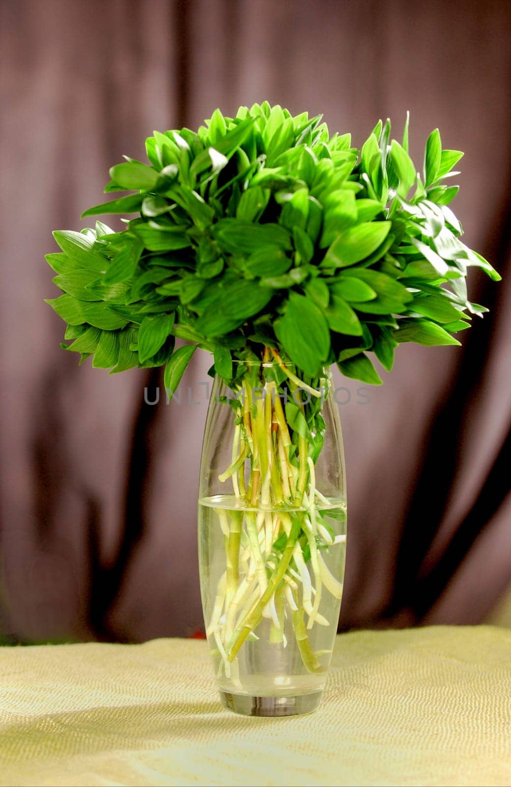 A vertical closeup of a glass vase with a green bunch