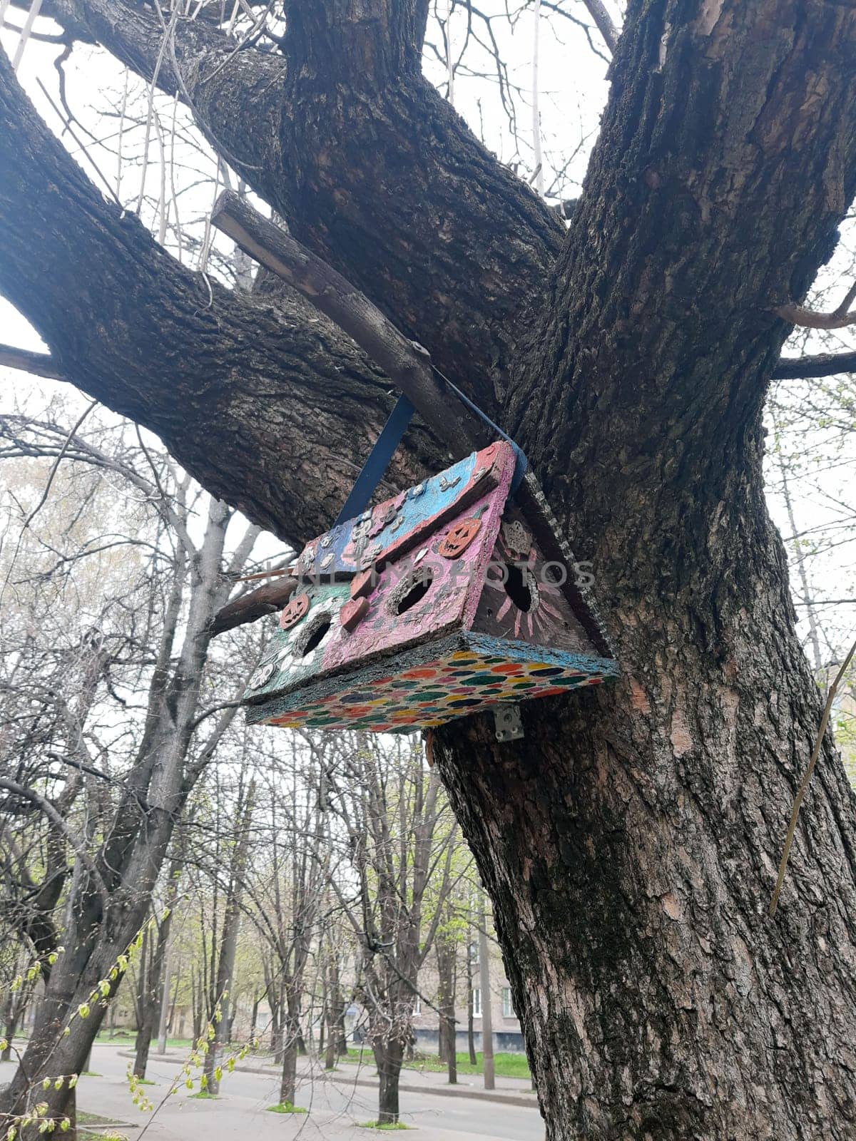 Colorful multi-colored bird feeder on a tree in a city park close-up.