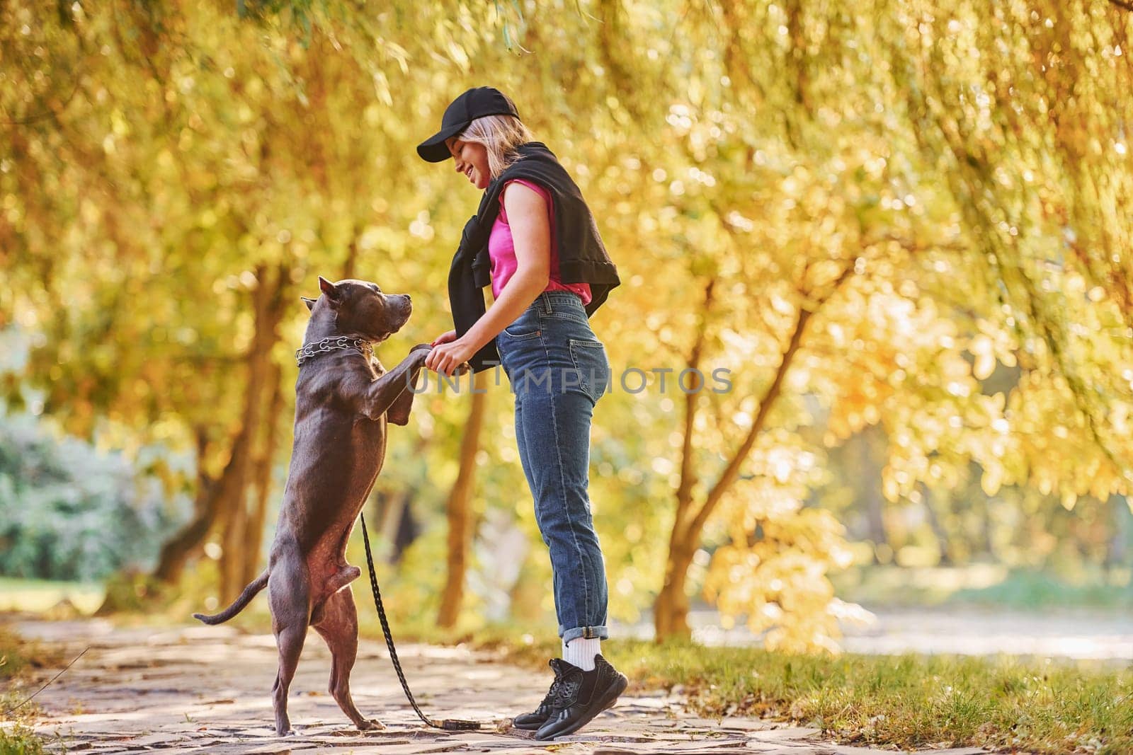 Having a walk. Woman in casual clothes is with pit bull outdoors.