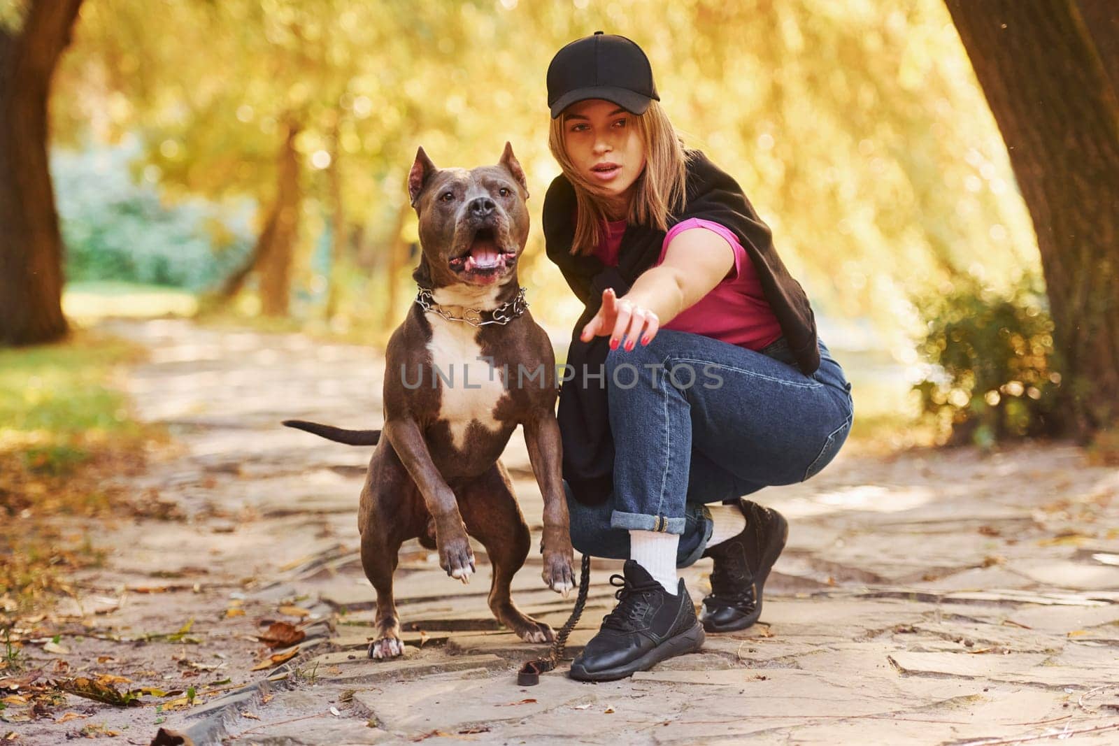 Playing together. Woman in casual clothes is with pit bull outdoors.