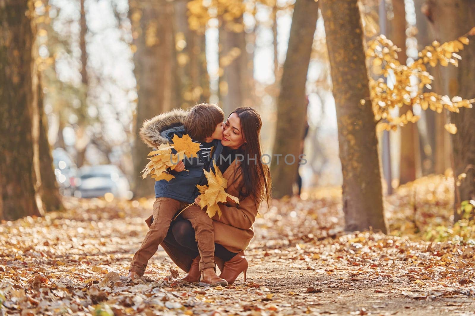 Playing with leaves. Mother with her son is having fun outdoors in the autumn forest by Standret