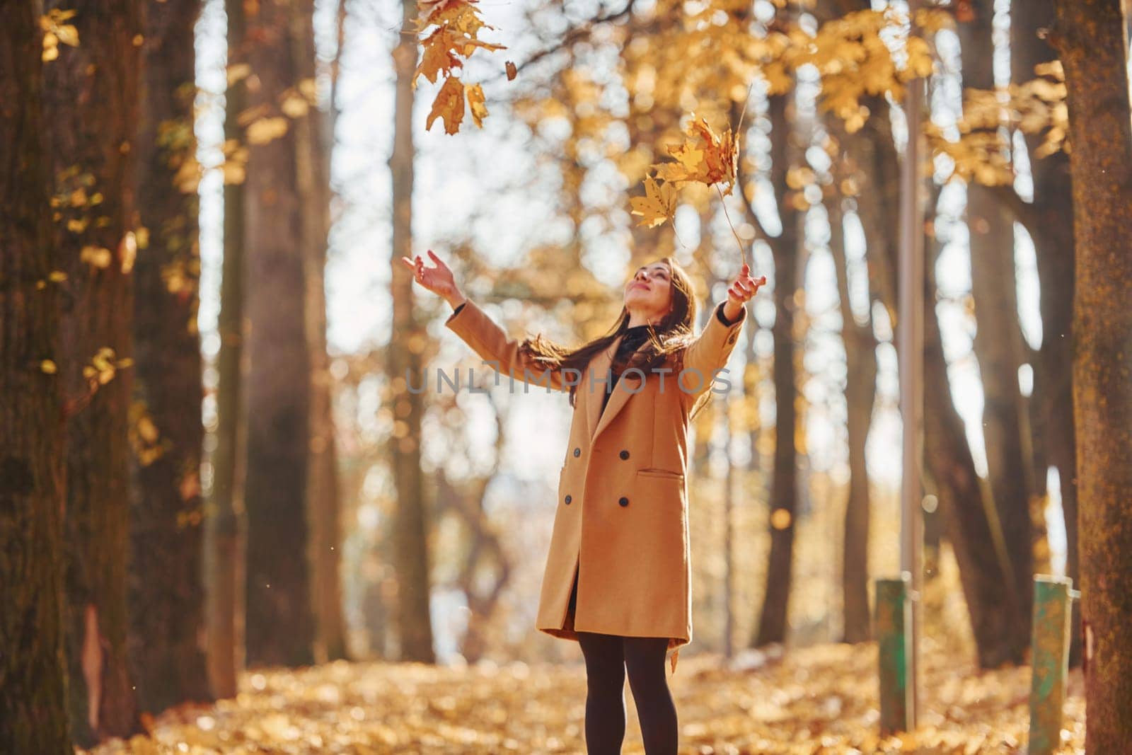 Having good mood. Woman in coat have walk in the autumn forest.