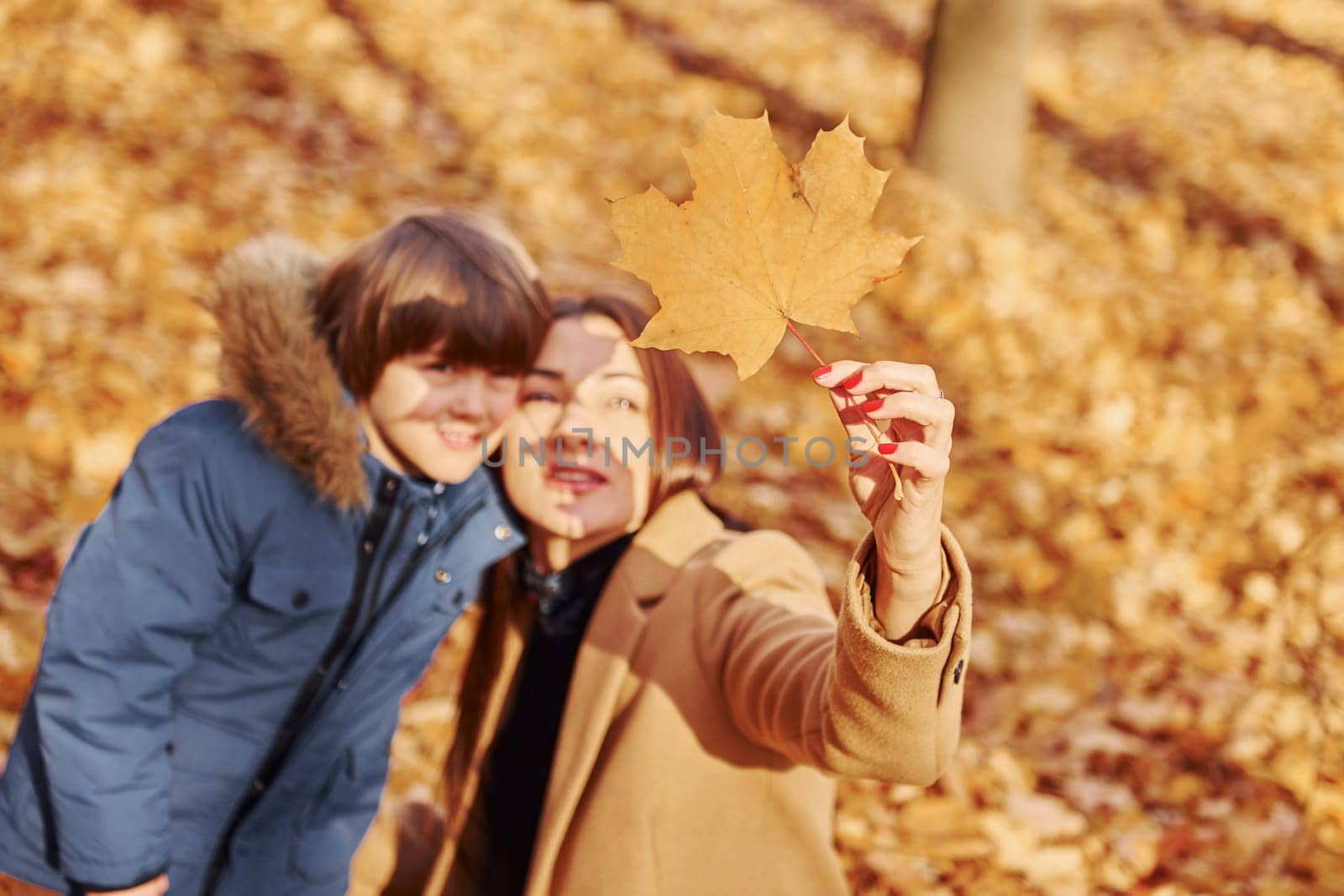 Looking at leaf. Mother with her son is having fun outdoors in the autumn forest.