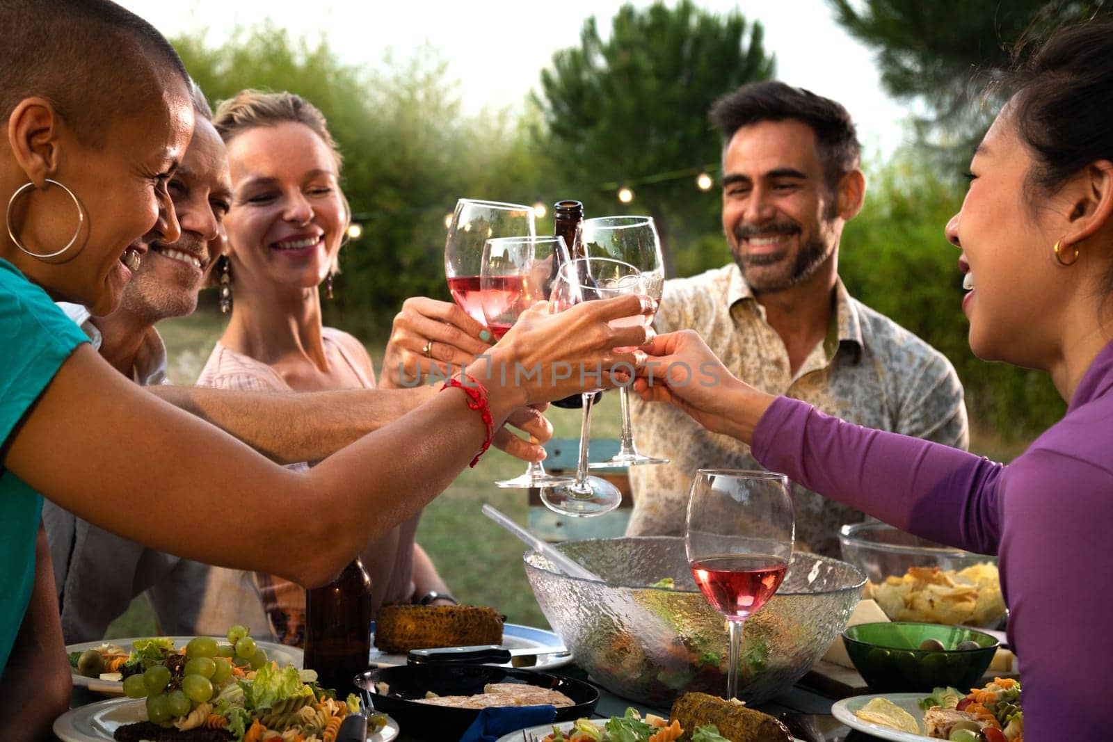 Diverse happy friends toasting with wine and beer during garden dinner party. Friends having fun. by Hoverstock