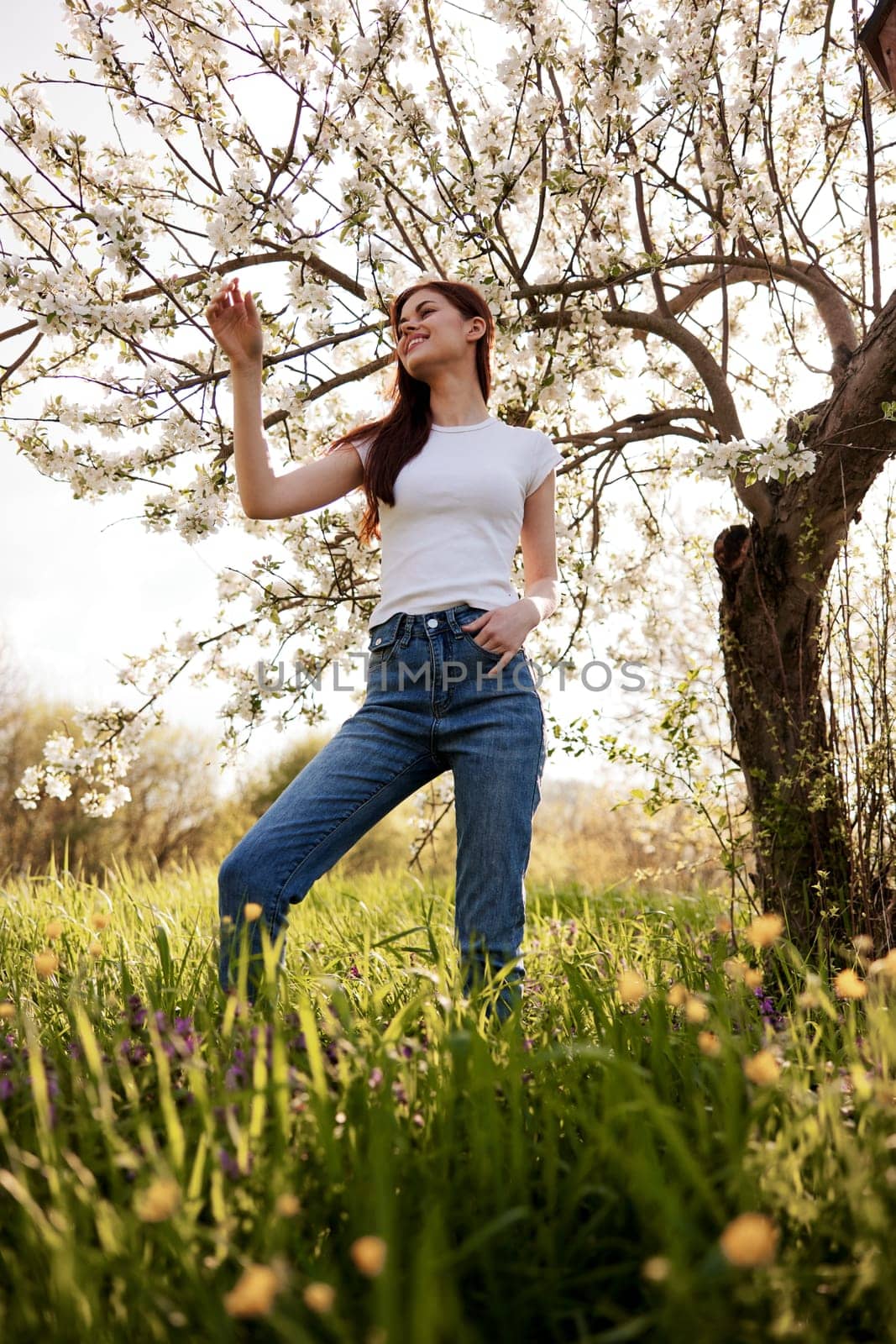 joyful, happy woman in jeans and a light T-shirt posing against the backdrop of a flowering tree by Vichizh