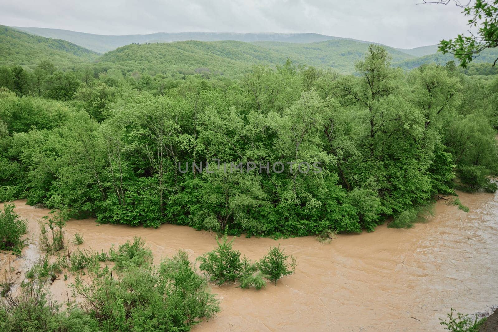 mountain river after rain flows in a forest area. High quality photo