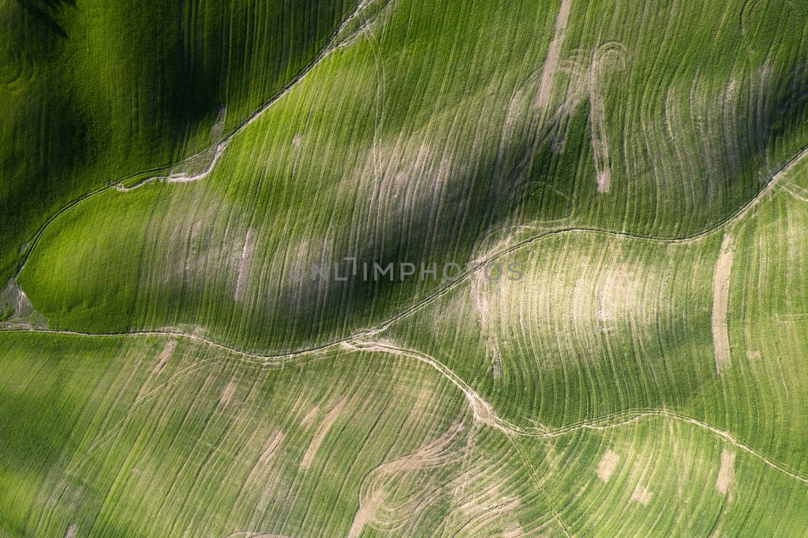 Aerial photographic documentation of the shapes of cultivated fields in Tuscany Italy 