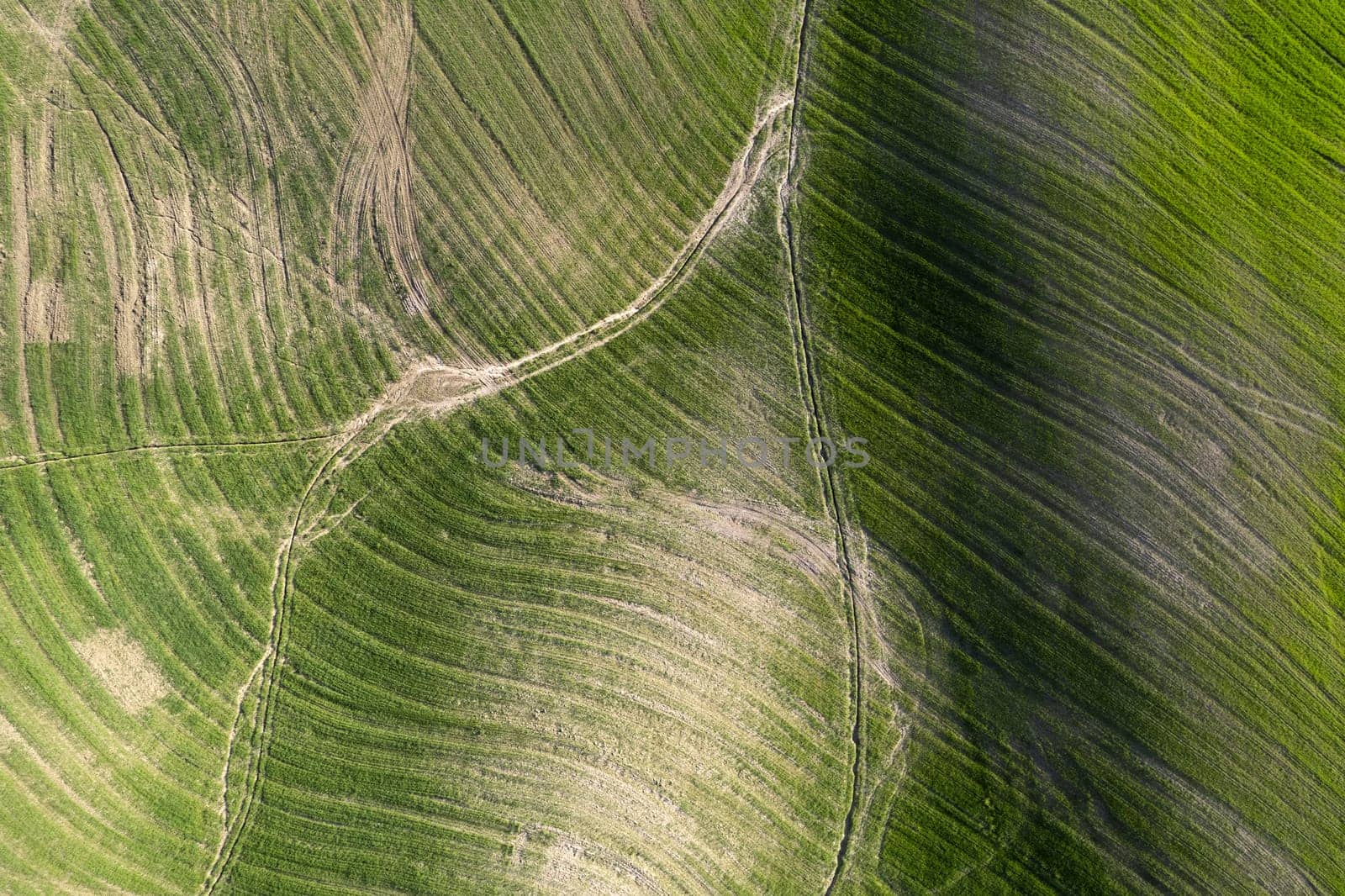 Aerial photographic documentation of the shapes of cultivated fields in Tuscany Italy 