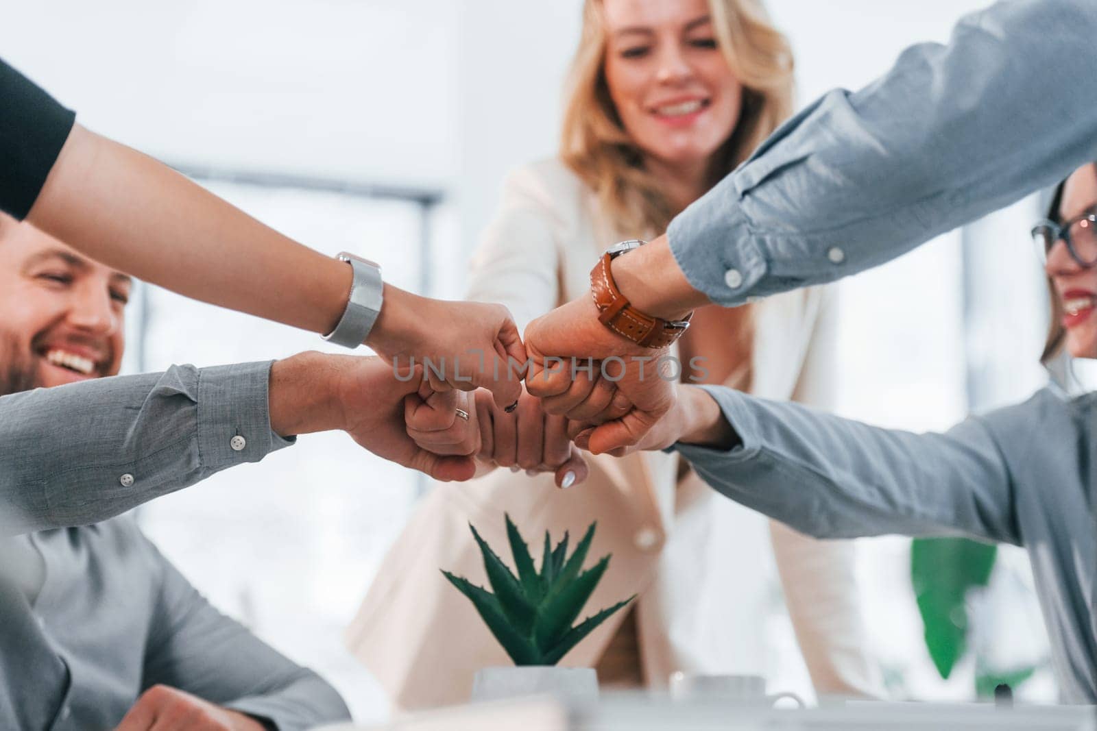 Professional occupation. Group of business people that working on the project in the office.