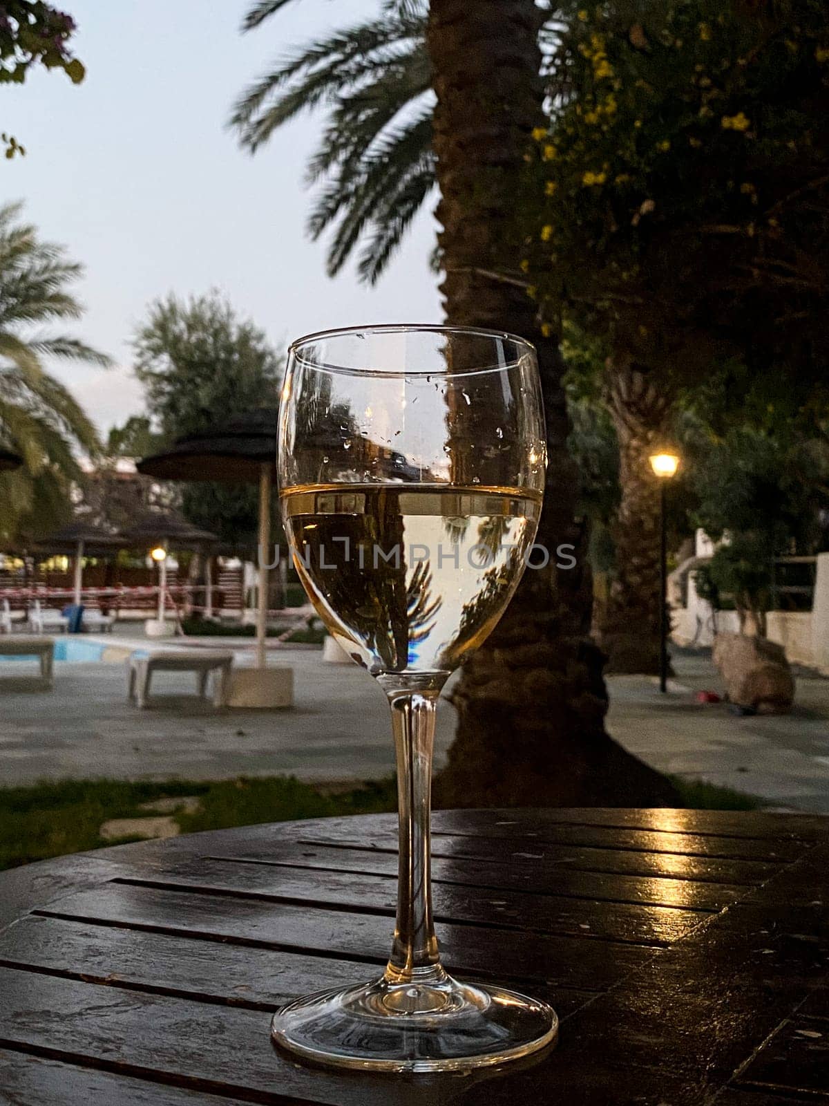 Glass of white wine on the wooden table outdoor, reflection of palm trees in a glass of white wine by DailySF