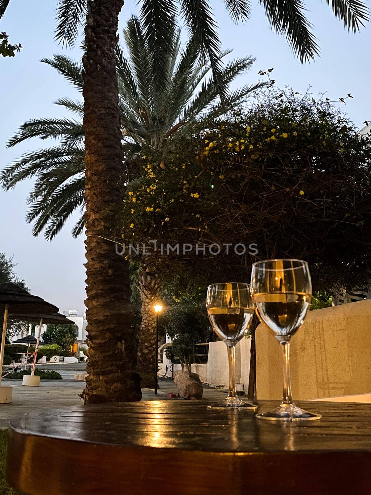 Glass of white wine on the wooden table outdoor, reflection of palm trees in a glass of white wine by DailySF