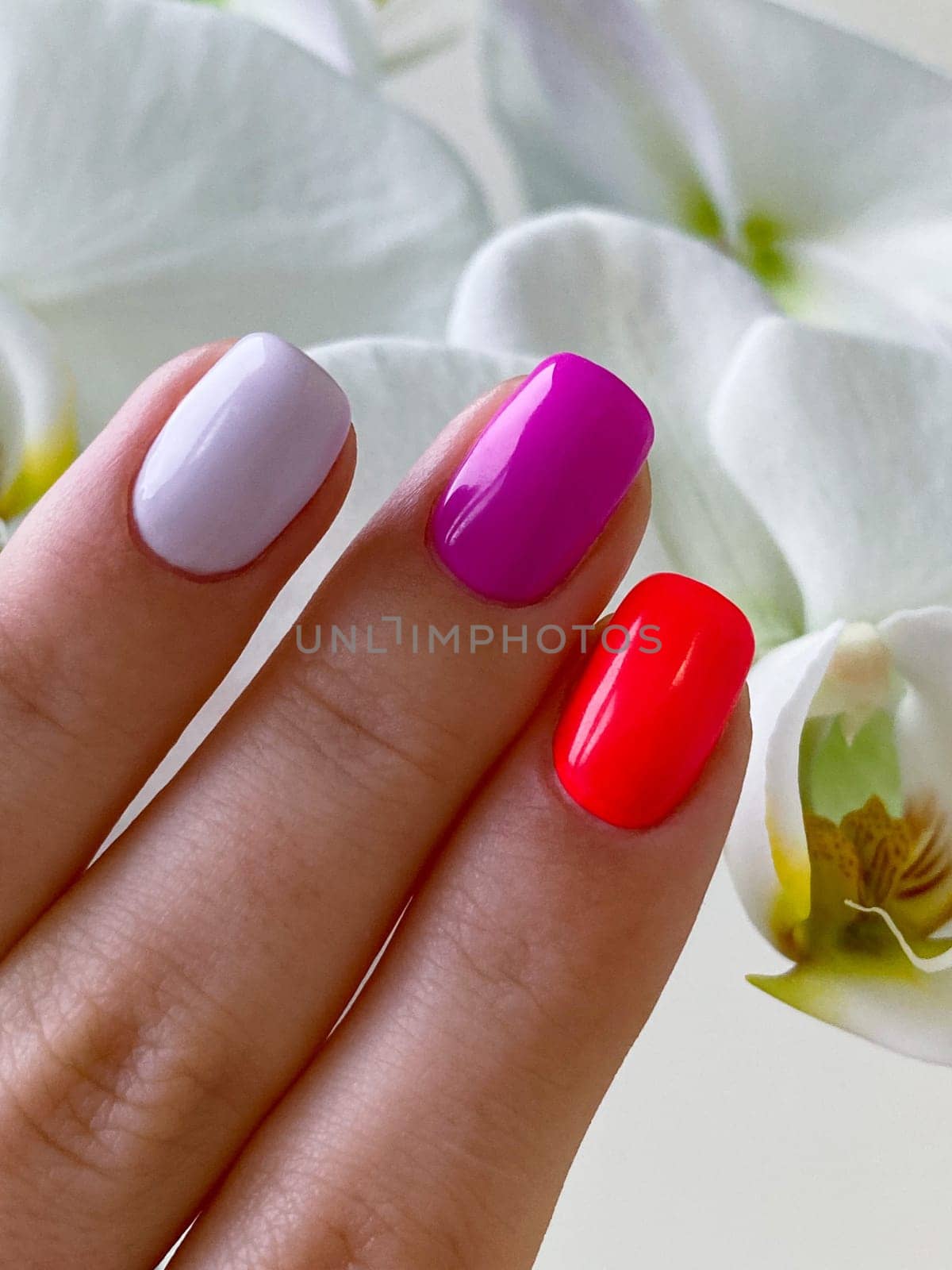 Beautiful Female close up summer colored pink red nails manicure, orchid flower on the light background by DailySF