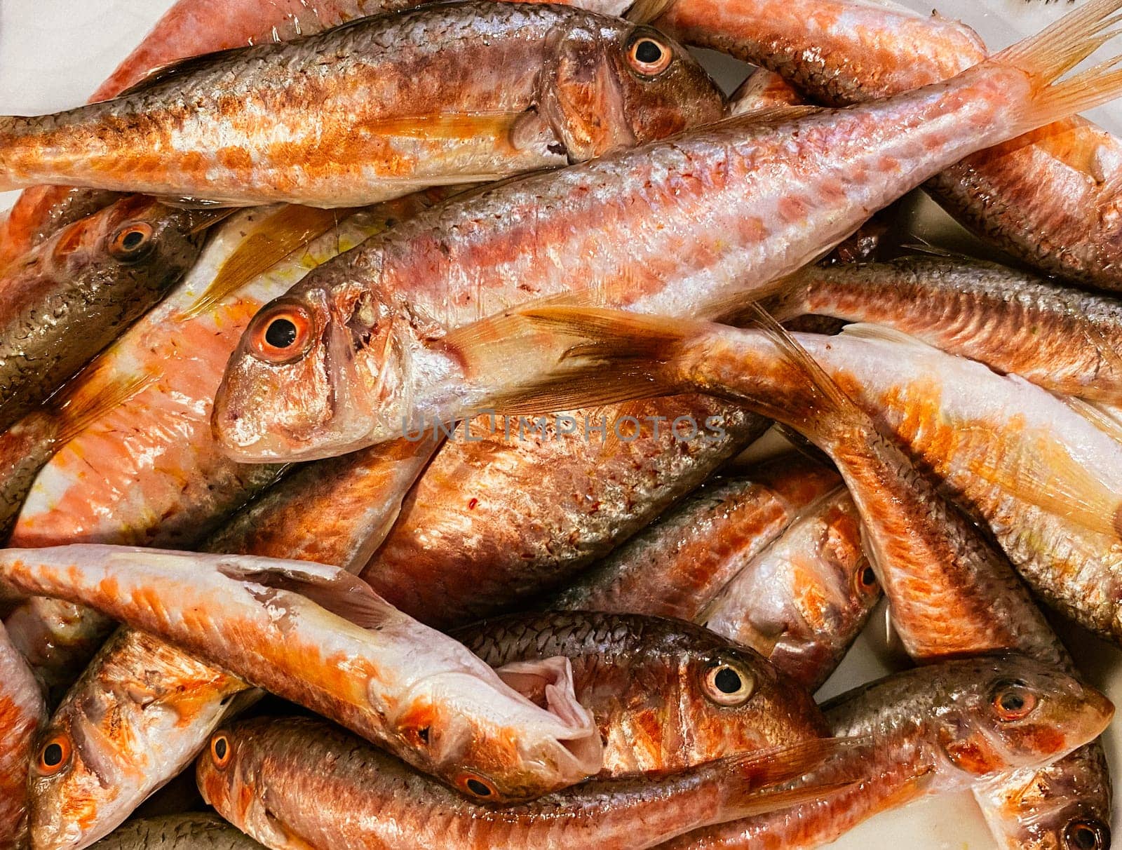 Fresh fish Red Mullet, top view, Barbel sea fish, Barbatus red fish by DailySF