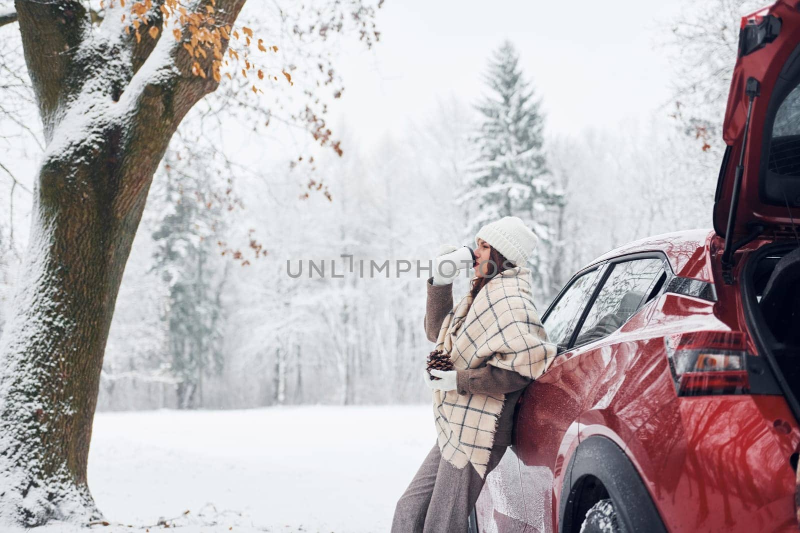 In the forest. Beautiful young woman is outdoors near her red automobile at winter time.