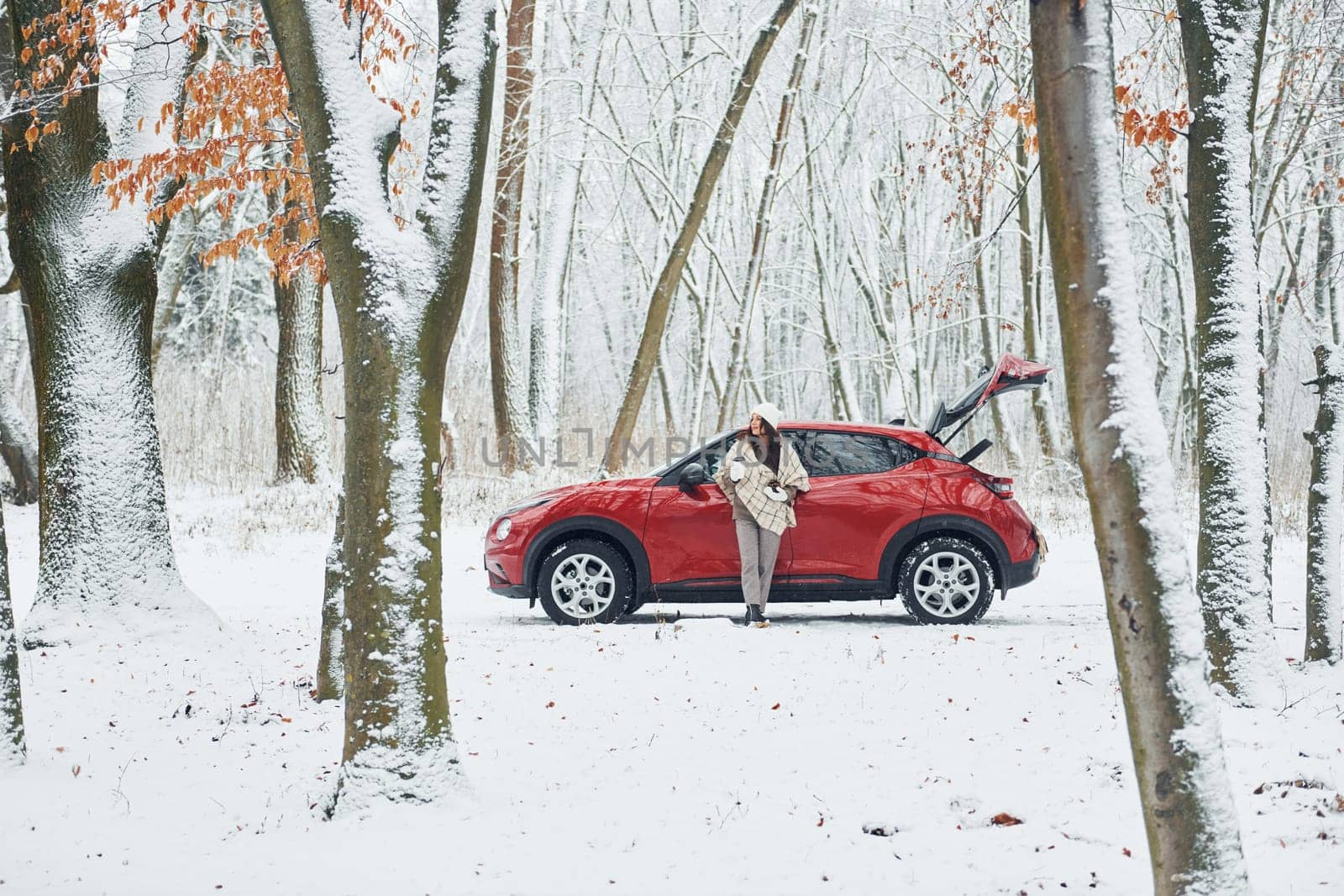 Rural scene. Beautiful young woman is outdoors near her red automobile at winter time.