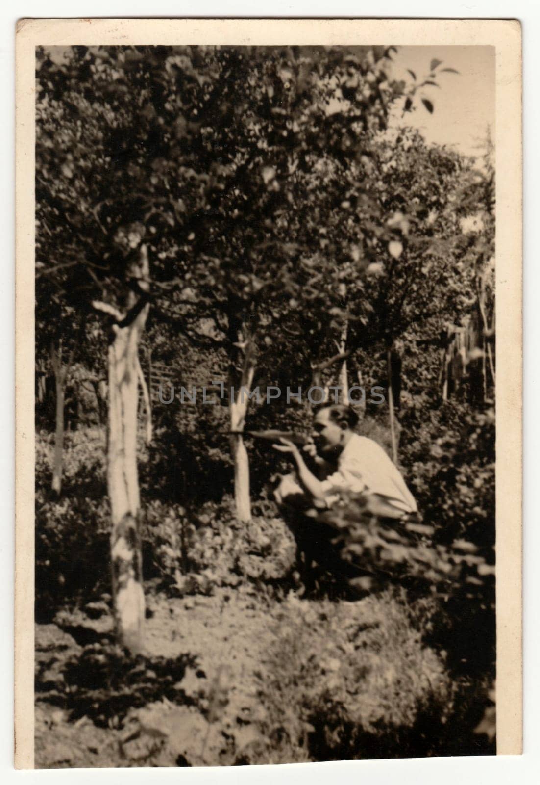 THE CZECHOSLOVAK REPUBLIC - MAY 1946: Vintage photo shows man holds rifle. Retro black and white photography. Circa 1950s.