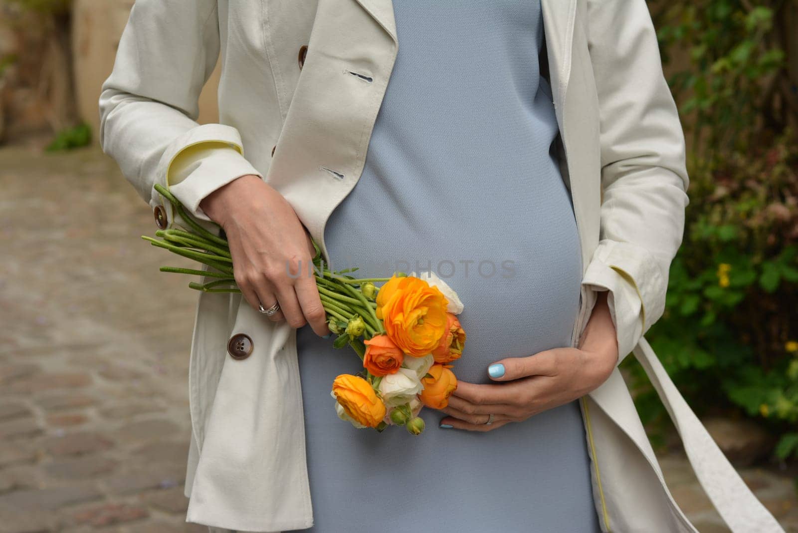 Closeup of pregnant woman, wearing blue dress, Ranunculus in hands