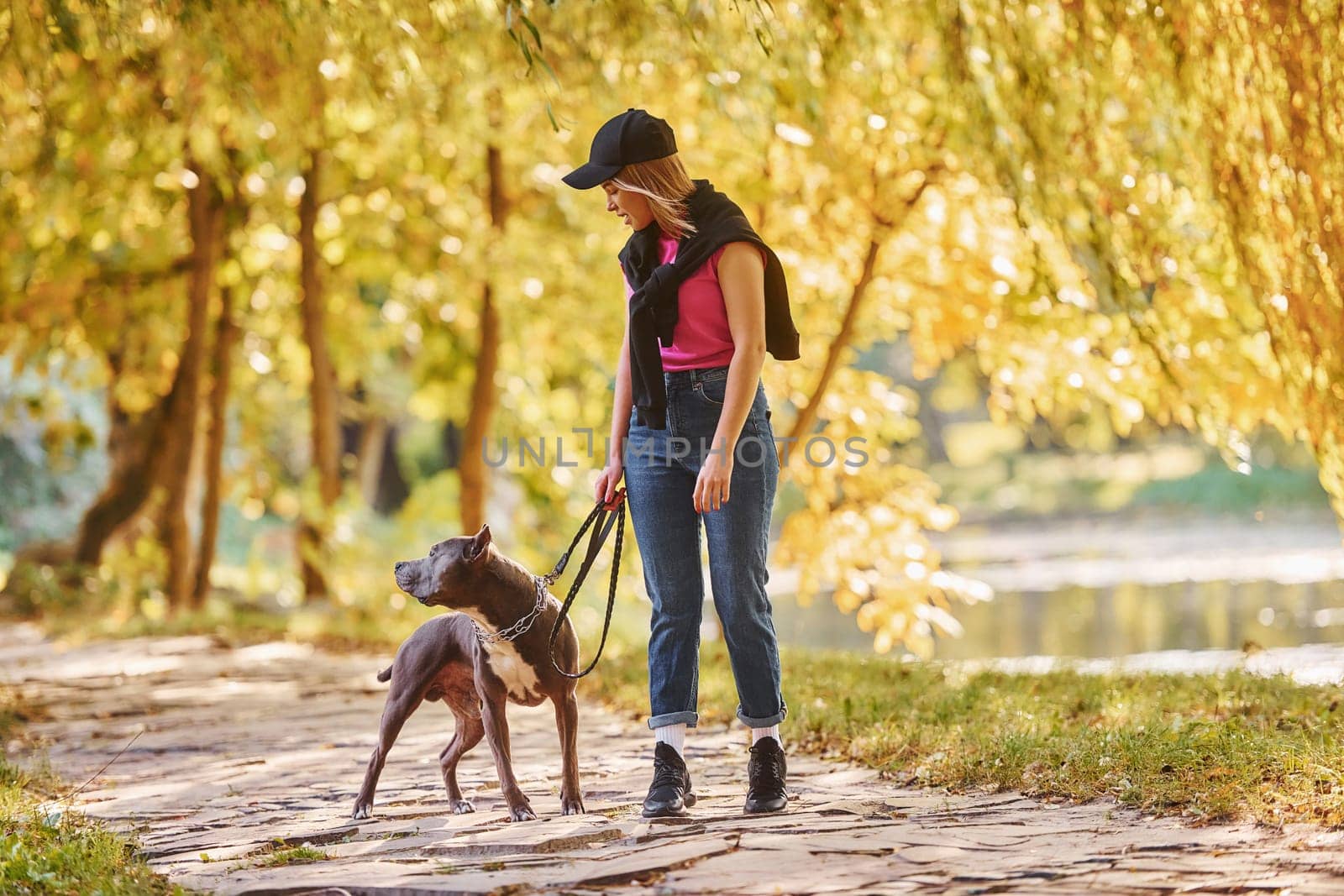 Standing together. Woman in casual clothes is with pit bull outdoors.