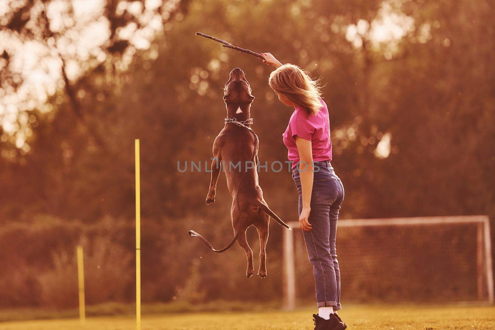 On sportive field. Woman in casual clothes is with pit bull outdoors.