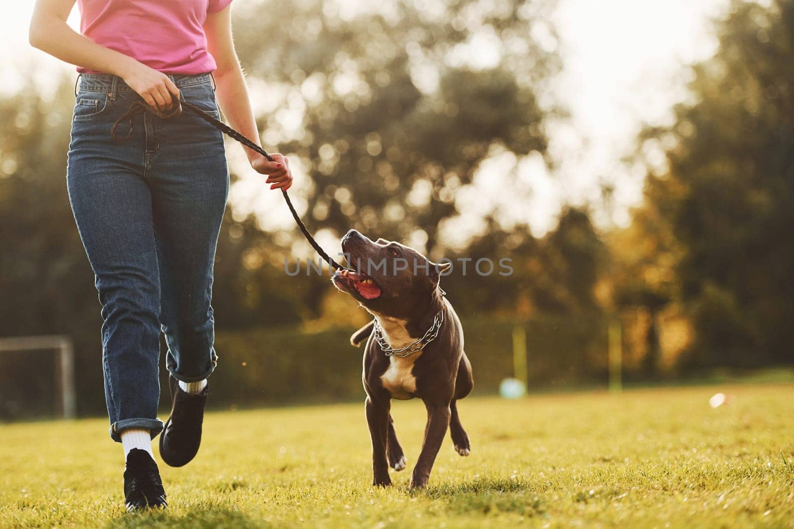 Close up view. Woman in casual clothes is with pit bull outdoors.
