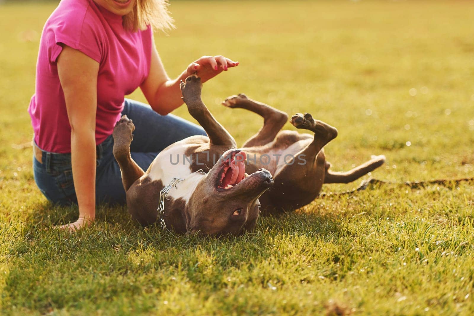 Playing on the ground. Woman in casual clothes is with pit bull outdoors.