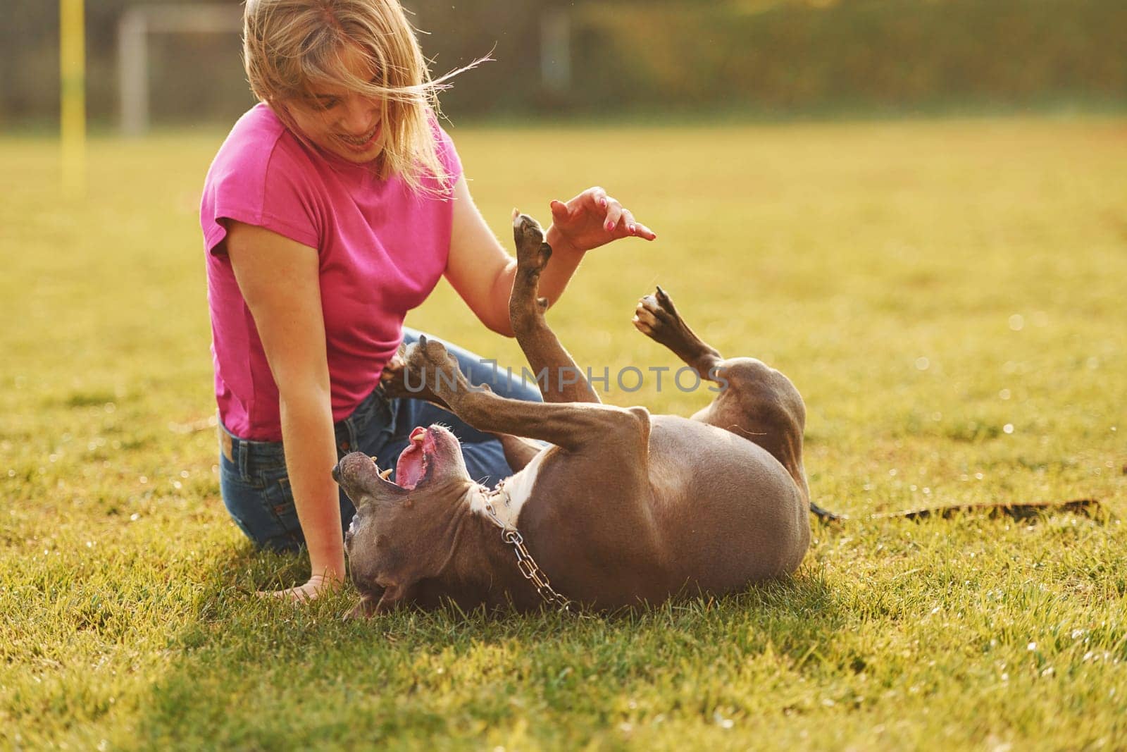Playing on the ground. Woman in casual clothes is with pit bull outdoors.