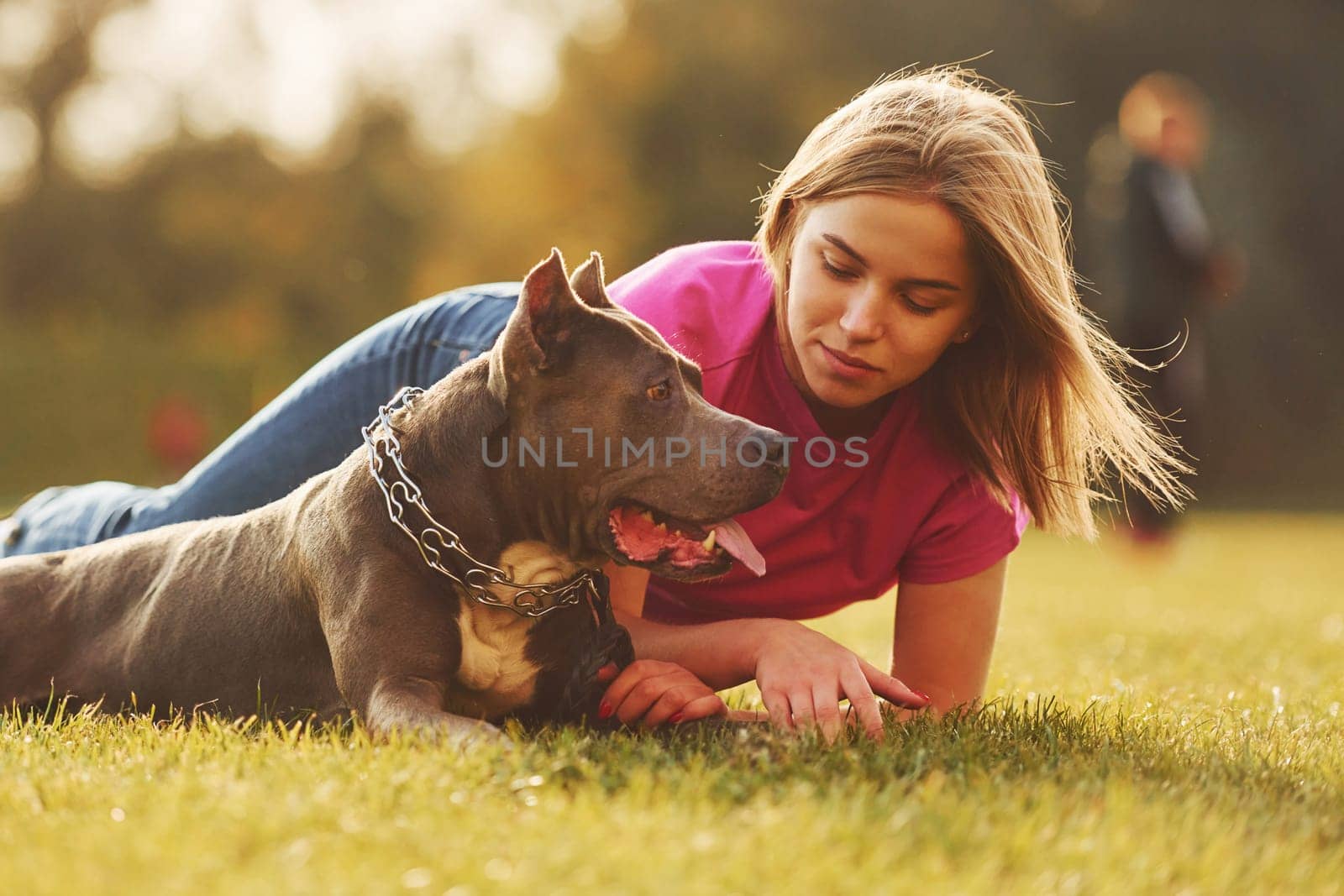 Laying down on the ground. Woman in casual clothes is with pit bull outdoors.