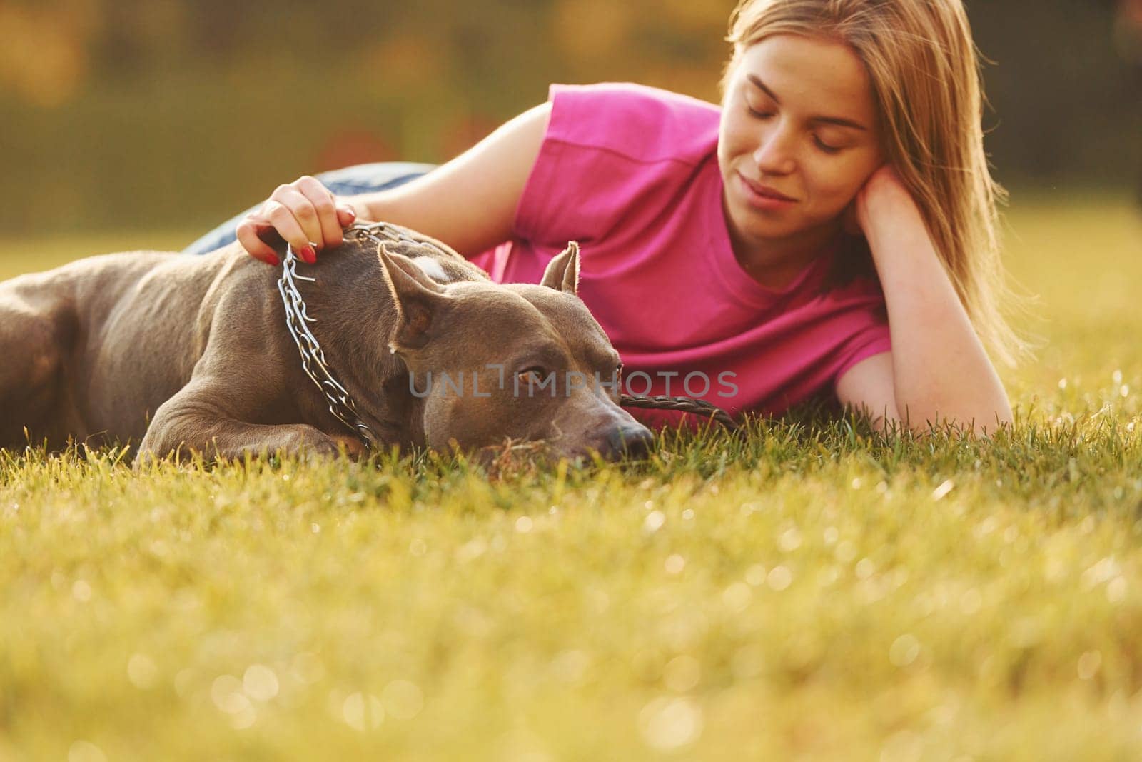 Laying down on the ground. Woman in casual clothes is with pit bull outdoors.