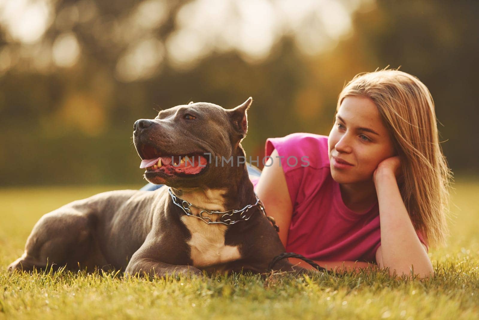 Laying down on the ground. Woman in casual clothes is with pit bull outdoors.