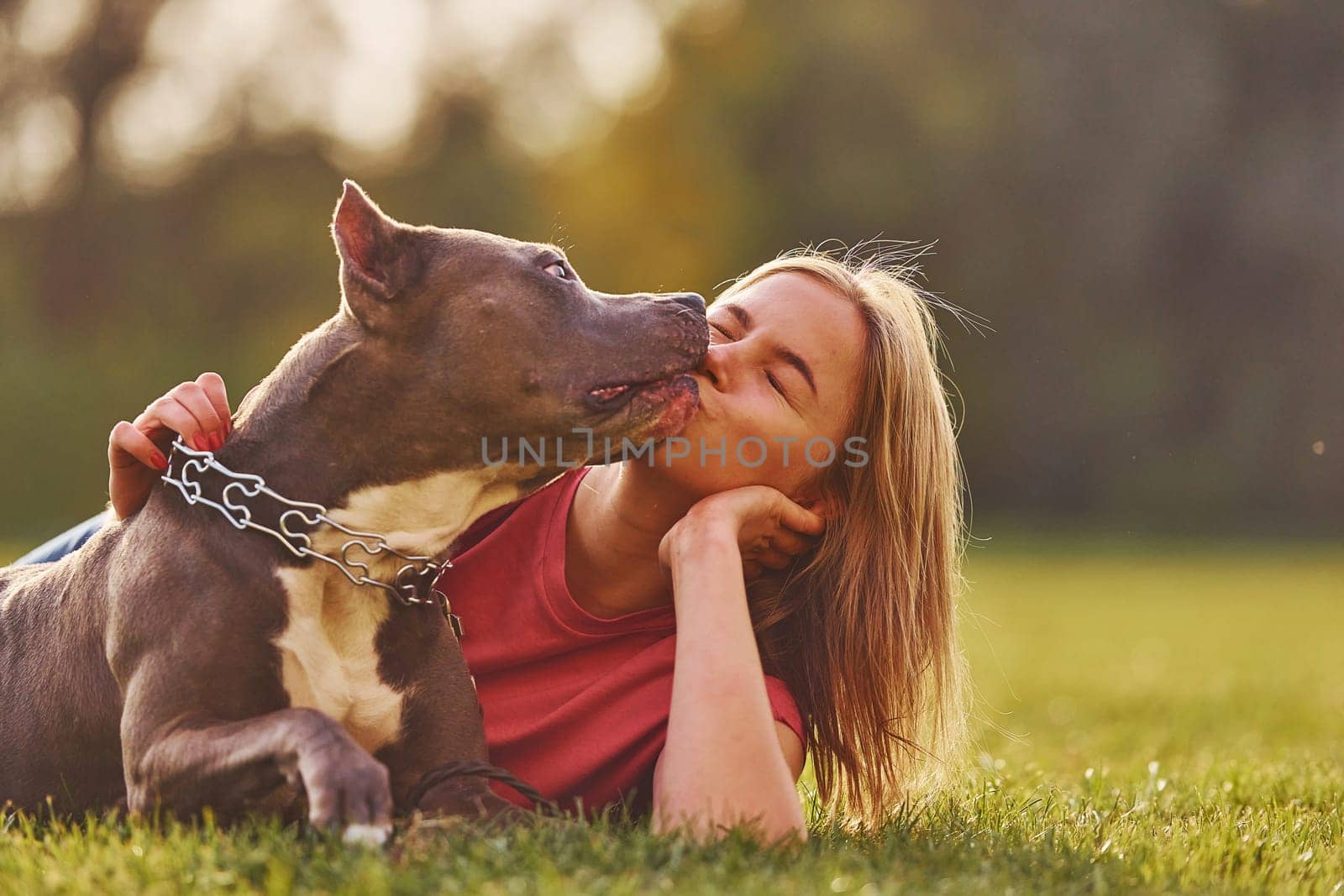Laying down on the ground. Woman in casual clothes is with pit bull outdoors.