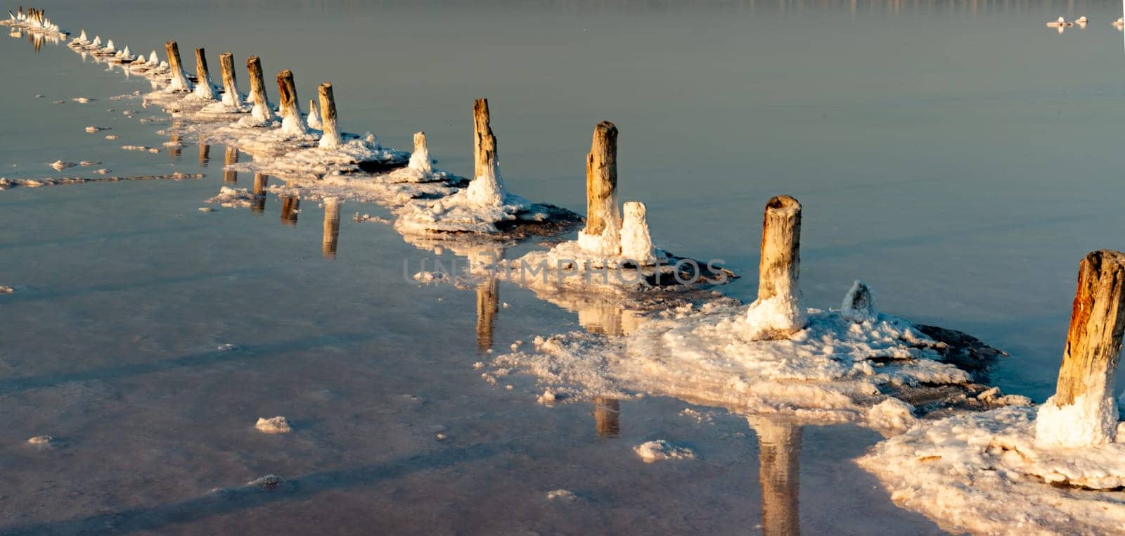 Salt crystals on wooden pillars of an old 18th century salt industry. The ecological problem is drought. by Hydrobiolog