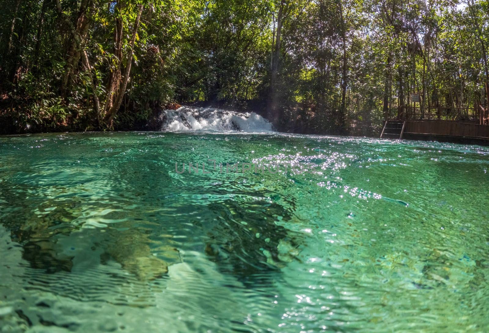Experience the idyllic beauty of Cachoeira de Formiga, the crystal clear waterfall nestled in the heart of the Brazilian jungle. Escape from the consumer culture and connect with nature in this pristine oasis.