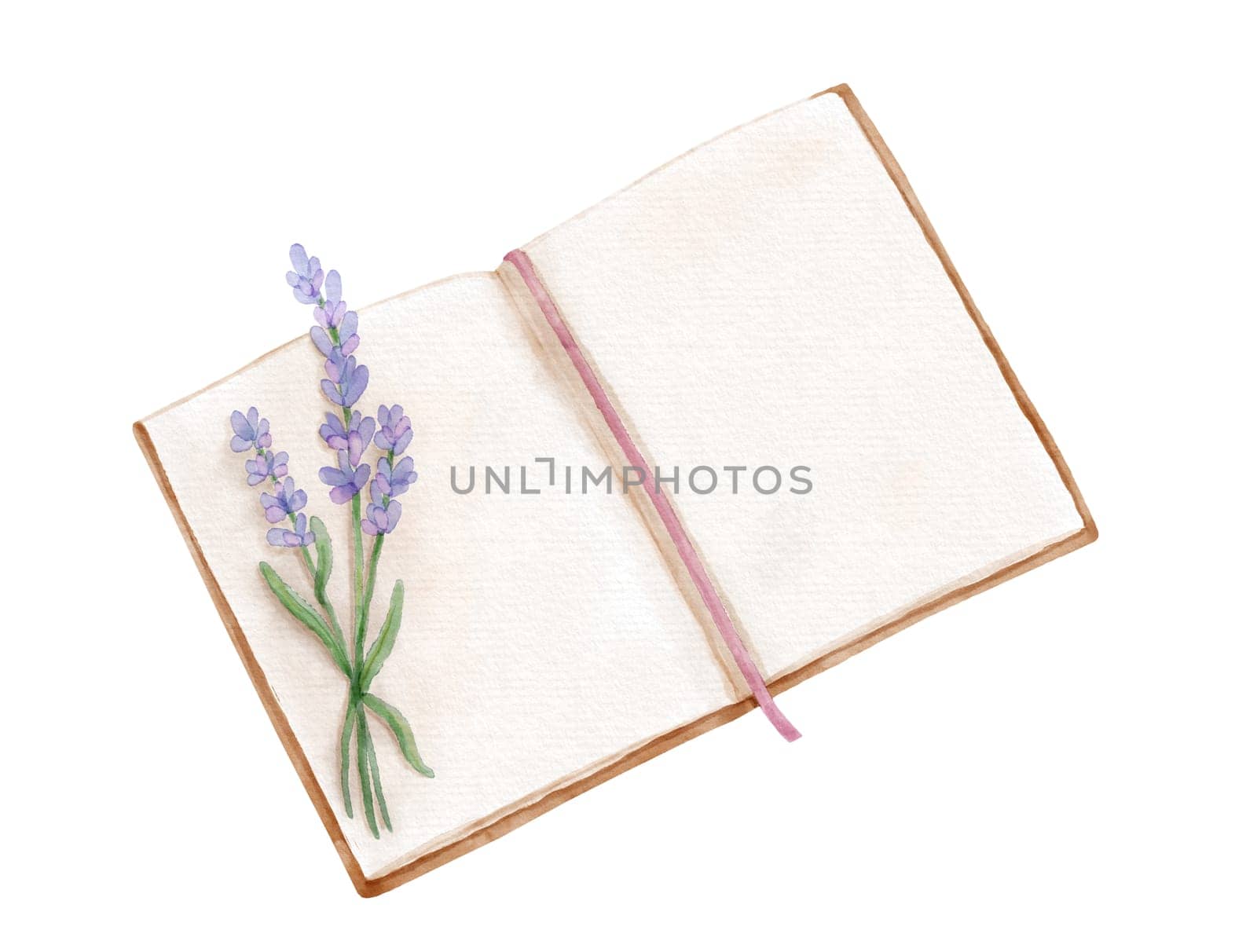 Open book with flower lavender. Hand drawn literature for reading and study. Watercolor illustration isolated on white. by ElenaPlatova