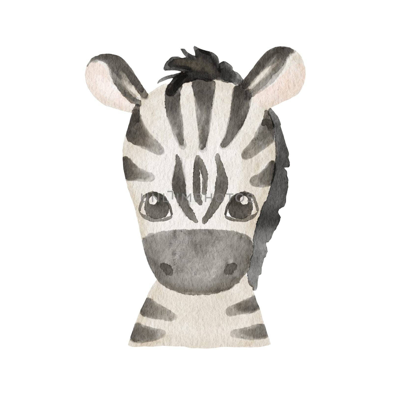 Cute portrait zebra head in cartoon style. Drawing african baby wild face isolated on white background. Watercolor sweet leopard for kids poster and card. Jungle animal by ElenaPlatova