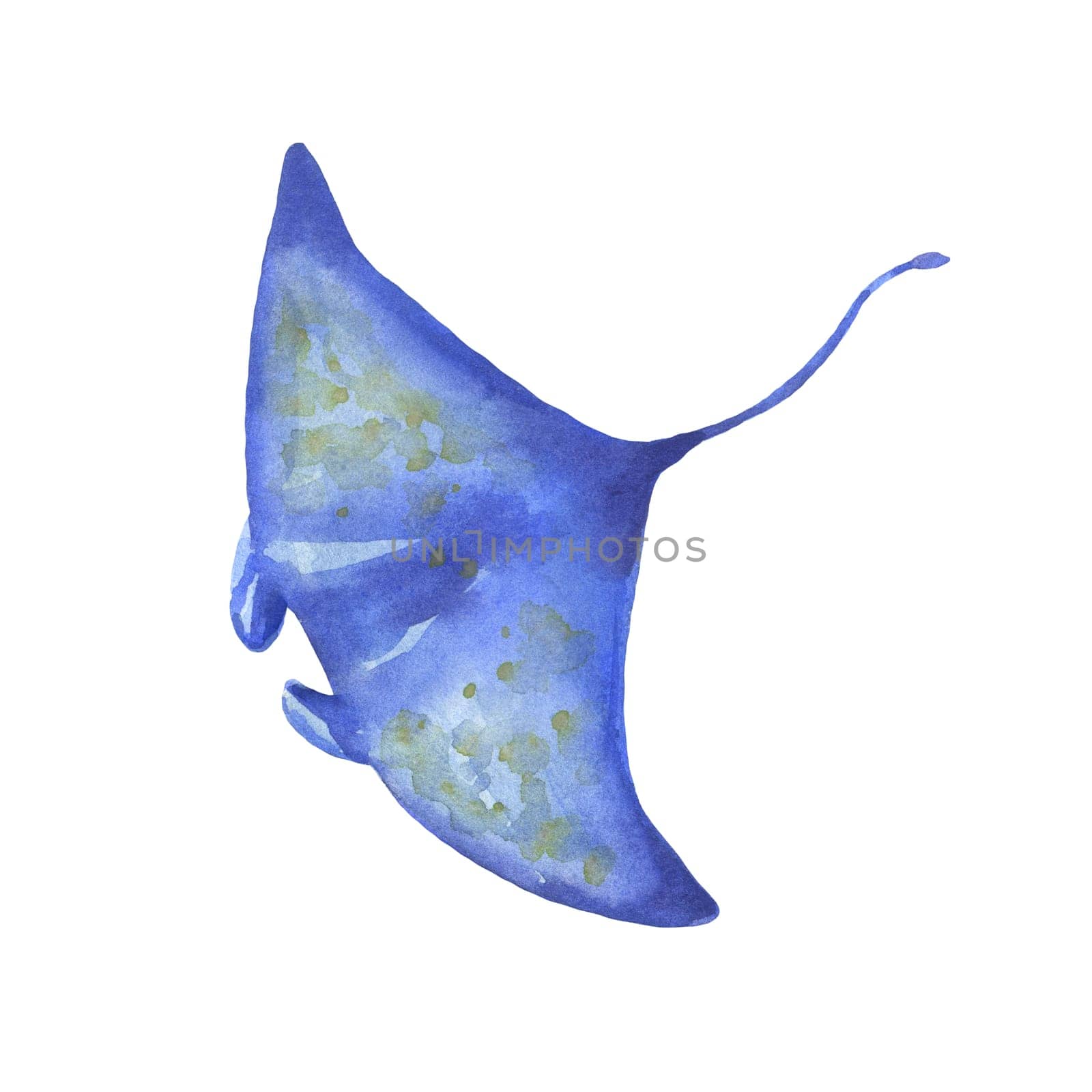 Watercolor blue spotted stingray isolated on white. Hand painted underwater animal illustration by ElenaPlatova