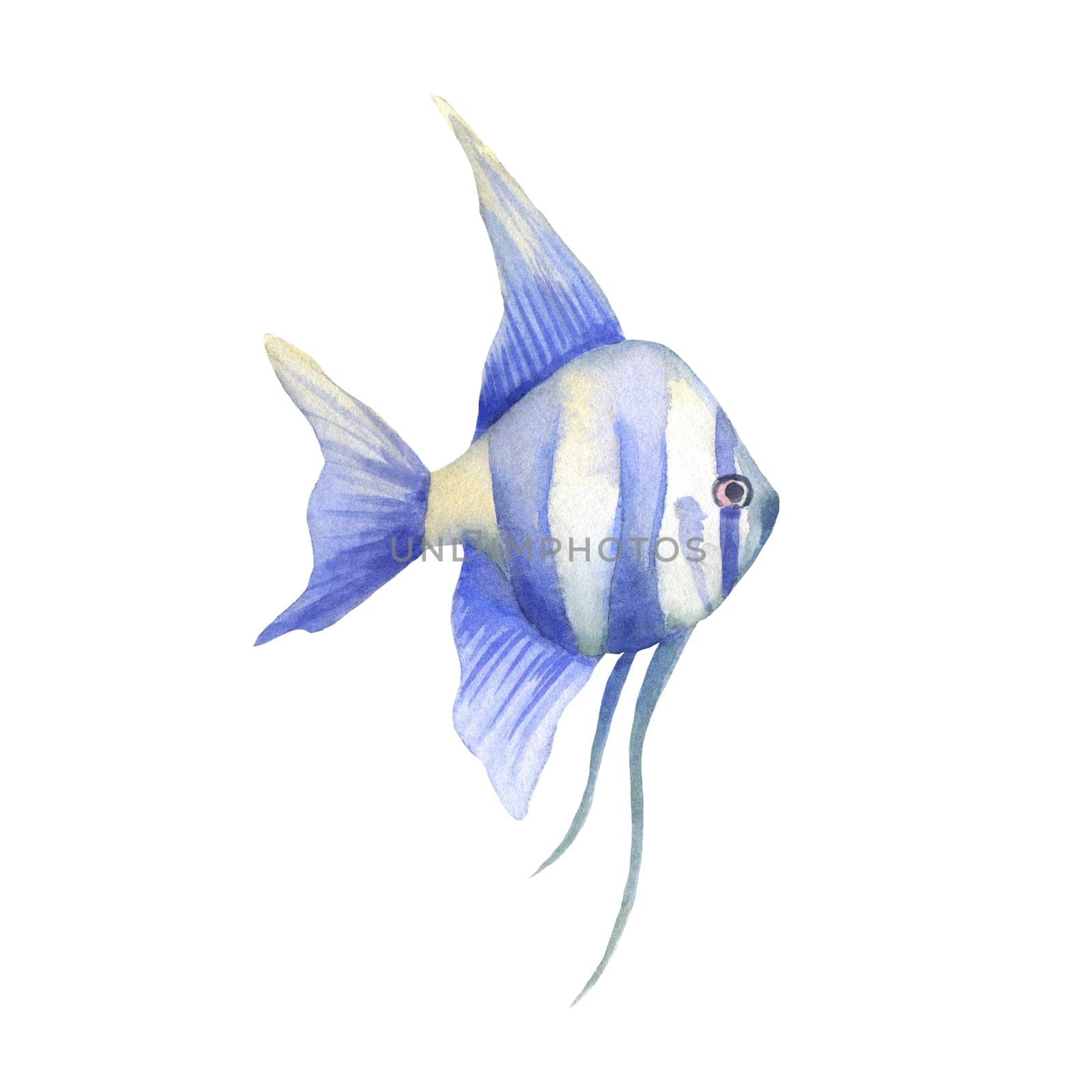 Watercolor blue fish isolated on white.